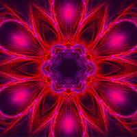 Love Vibration