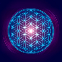 Connected: The Flower of Life